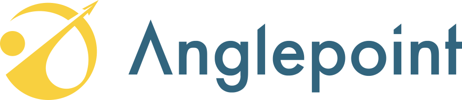 Angle Point Swag Store